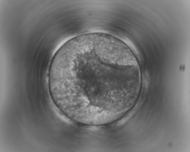 X0000091550814200709141514