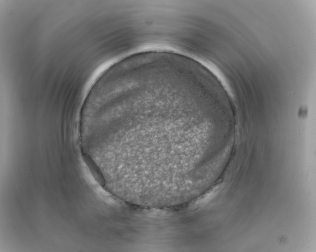 X0000091550815200709141514