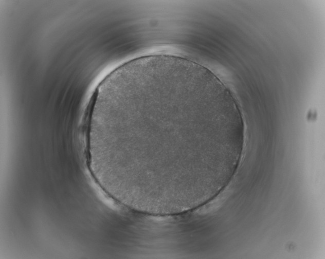 X0000091550816200709141514