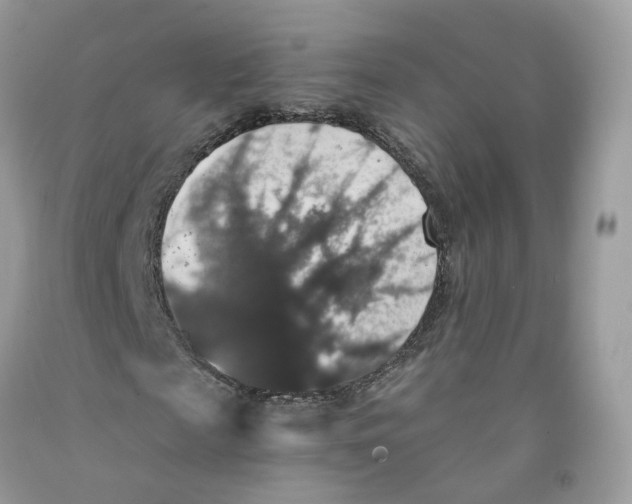 X0000091550817200709141514