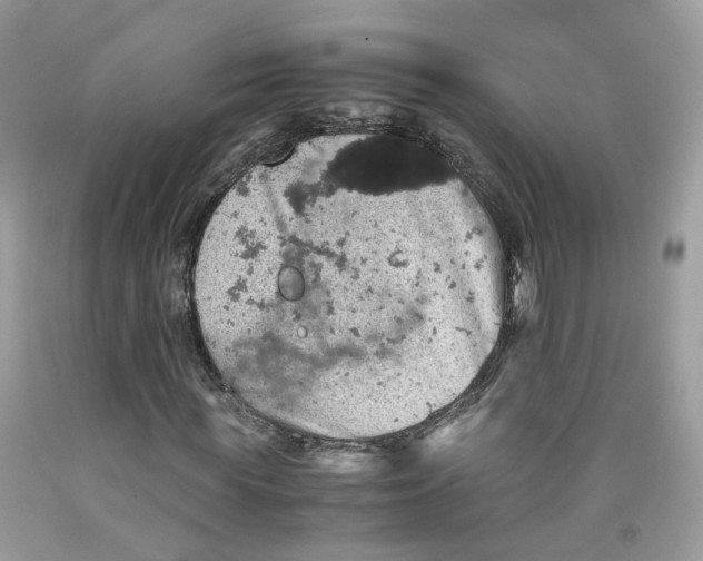 X0000091550819200709141514