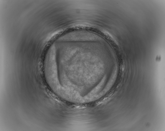 X0000091550822200709141514