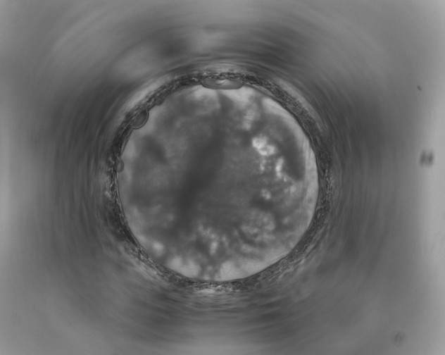 X0000091550823200709141514