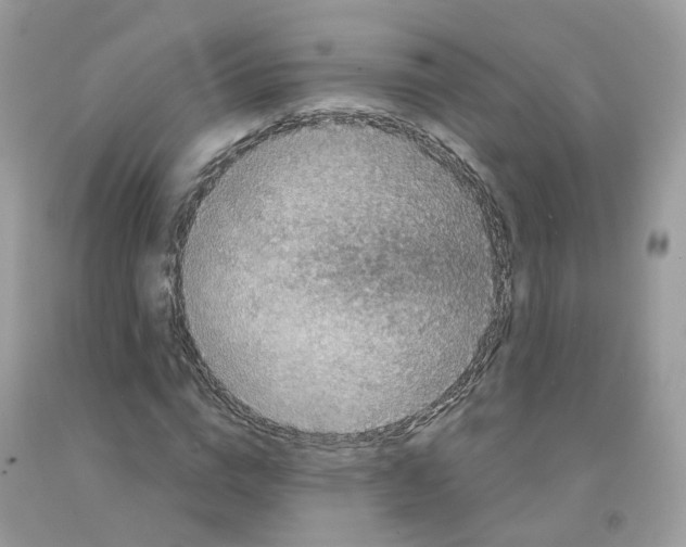 X0000091550824200709141514