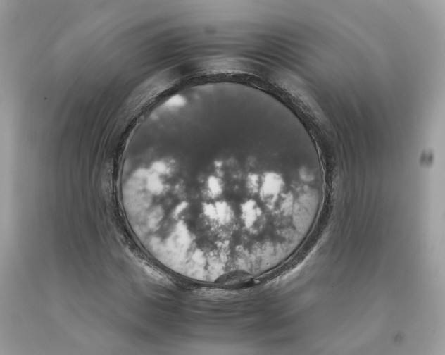 X0000091550825200709141514