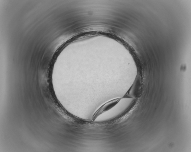 X0000091550826200709141514