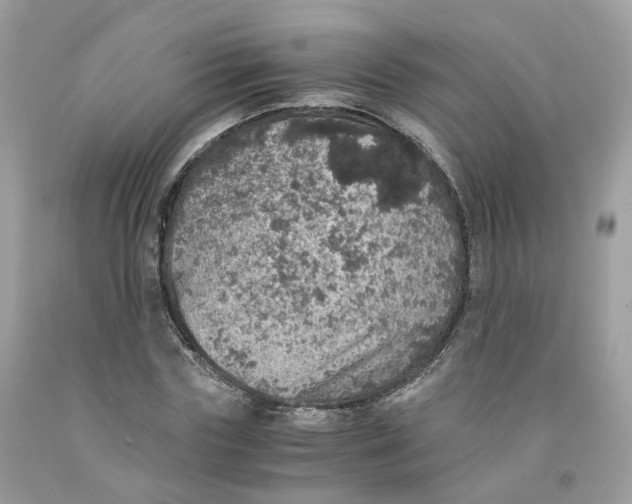 X0000091550827200709141514