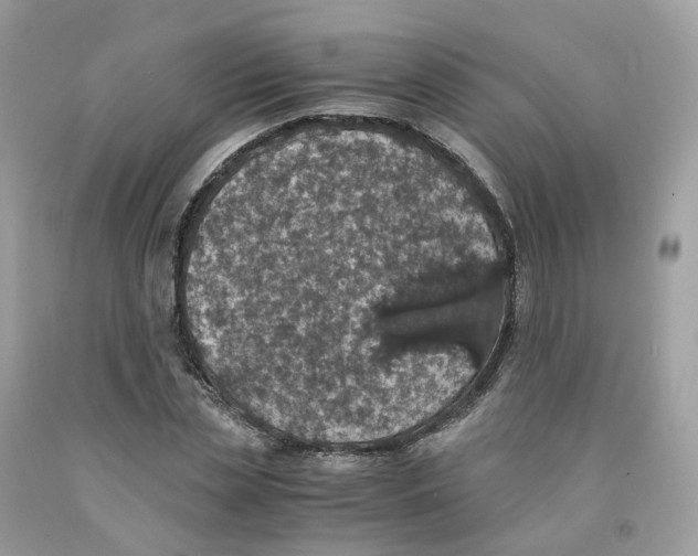 X0000091550829200709141514