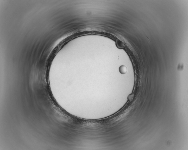 X0000091550830200709141514