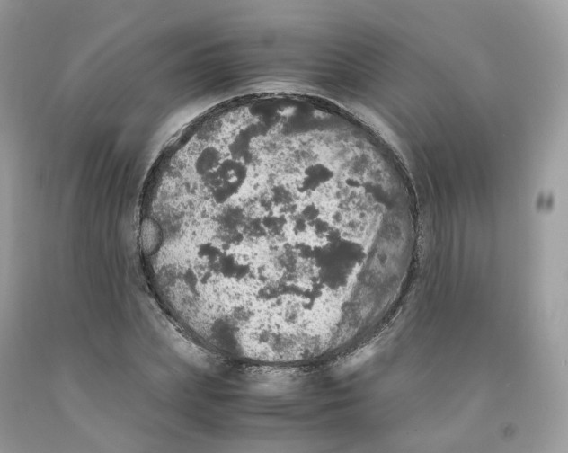 X0000091550831200709141514