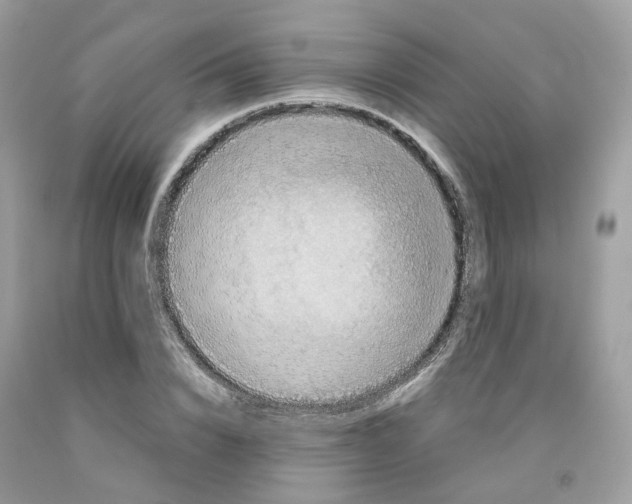 X0000091550832200709141514