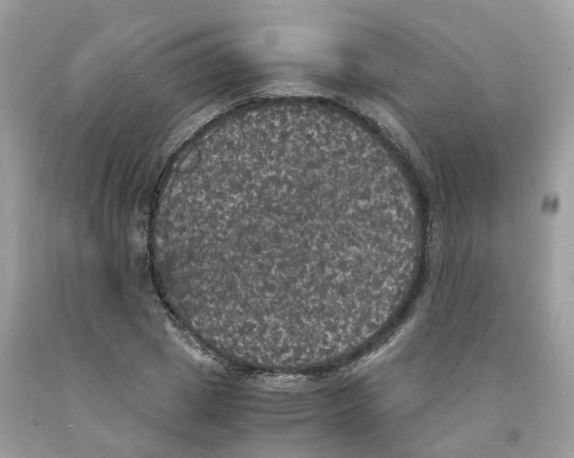 X0000091550833200709141514