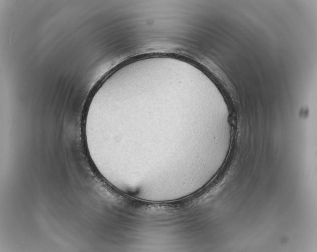 X0000091550834200709141514