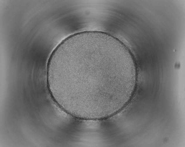 X0000091550836200709141514