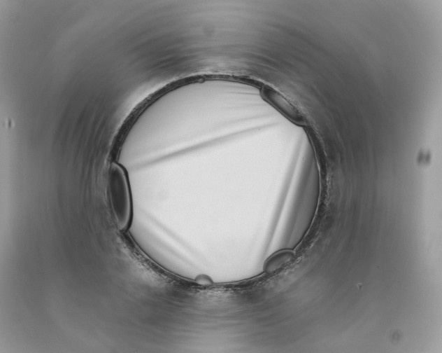 X0000091550838200709141514