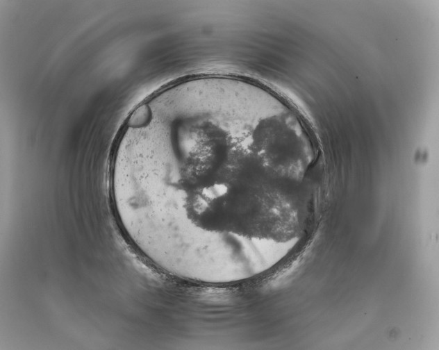 X0000091550839200709141514