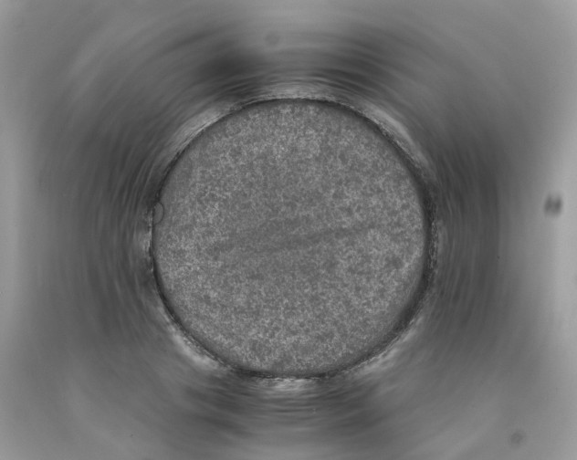 X0000091550841200709141514