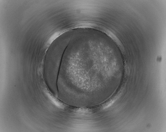 X0000091550842200709141514