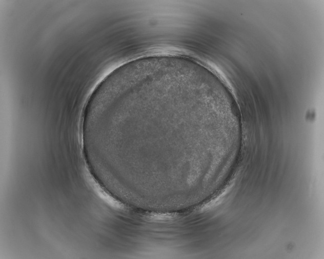 X0000091550843200709141514