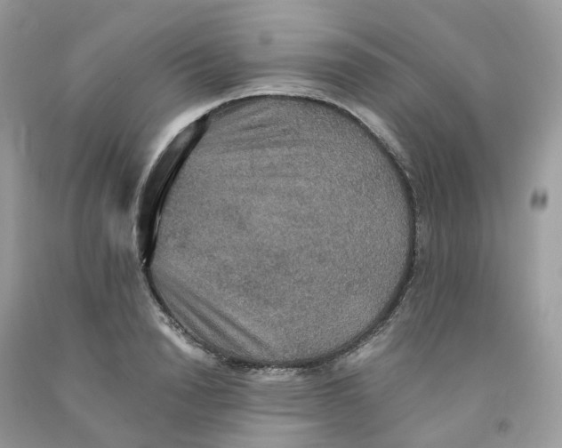 X0000091550846200709141514