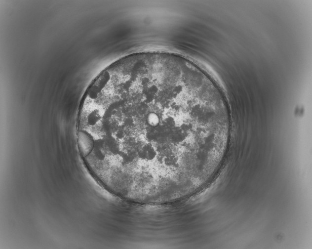 X0000091550847200709141514