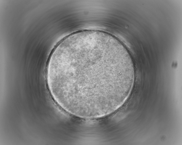 X0000091550848200709141514