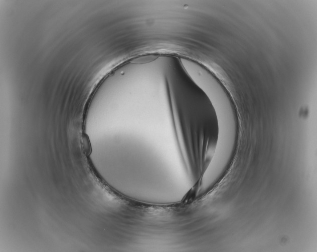 X0000091550850200709141514