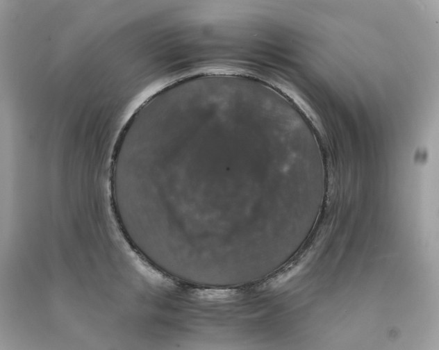 X0000091550853200709141514