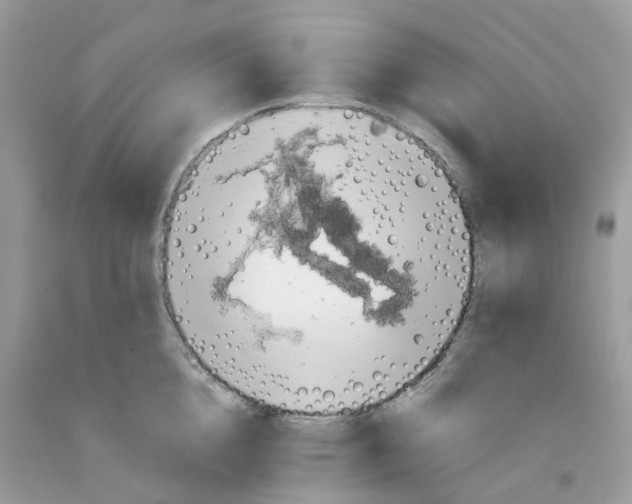 X0000091550856200709141514