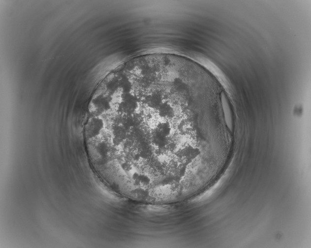 X0000091550857200709141514