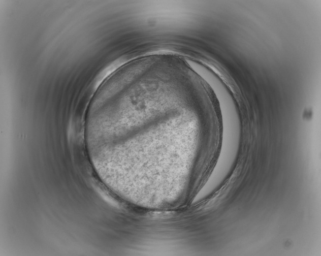 X0000091550858200709141514