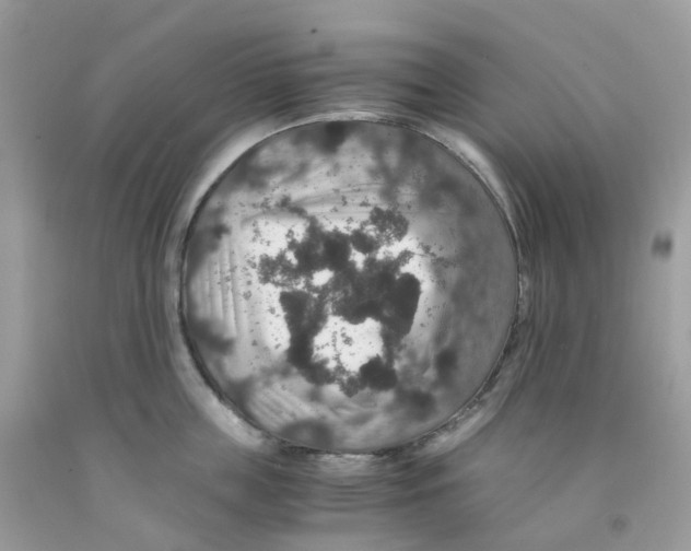 X0000091550859200709141514