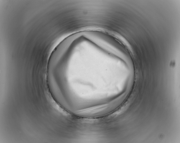 X0000091550860200709141514