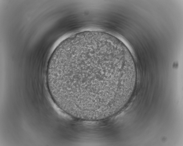 X0000091550861200709141514