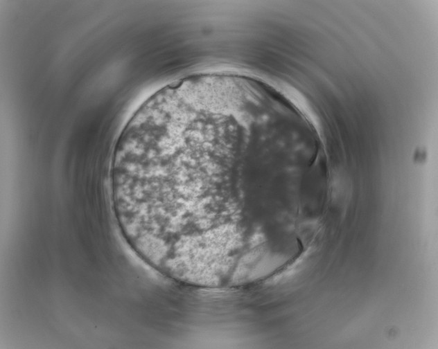 X0000091550863200709141514