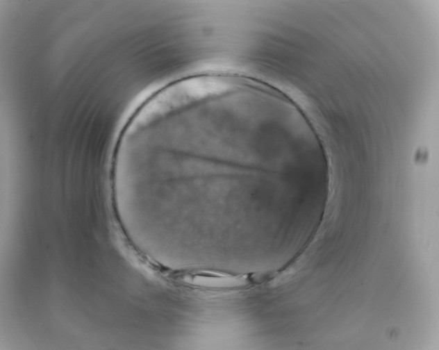 X0000091550864200709141514