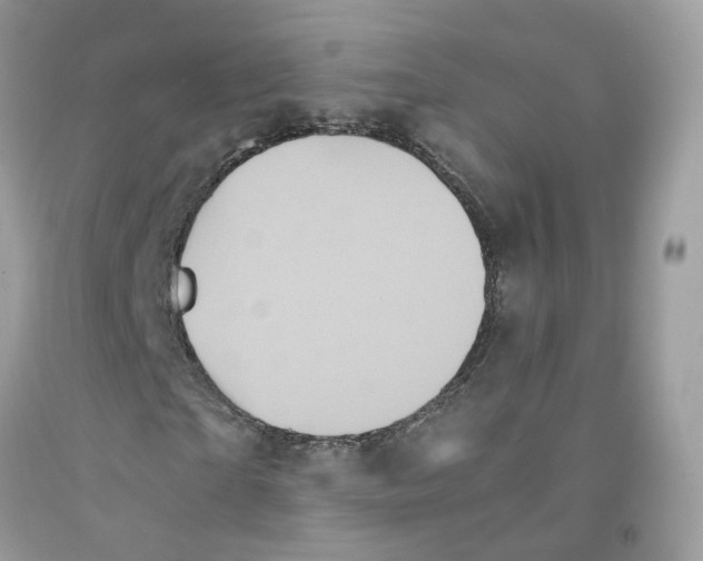 X0000091550865200709141514