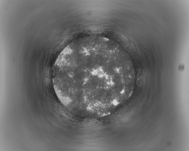 X0000091550866200709141514