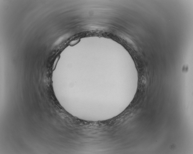 X0000091550869200709141514