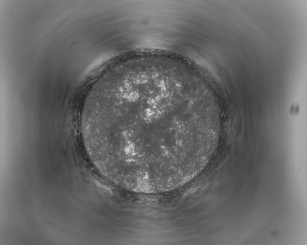 X0000091550870200709141514