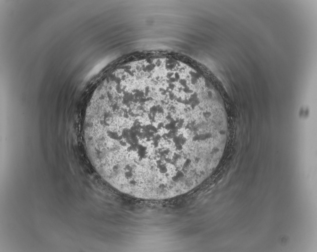 X0000091550871200709141514