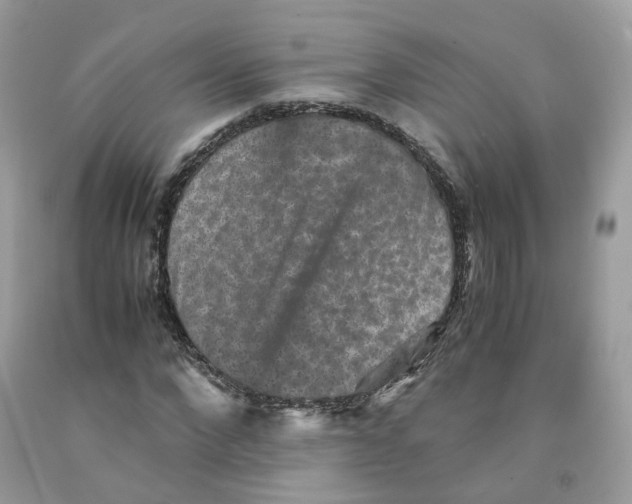 X0000091550872200709141514