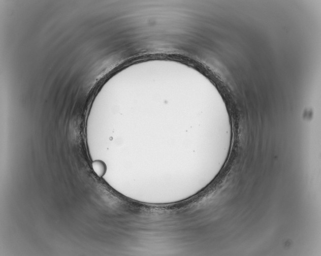 X0000091550873200709141514