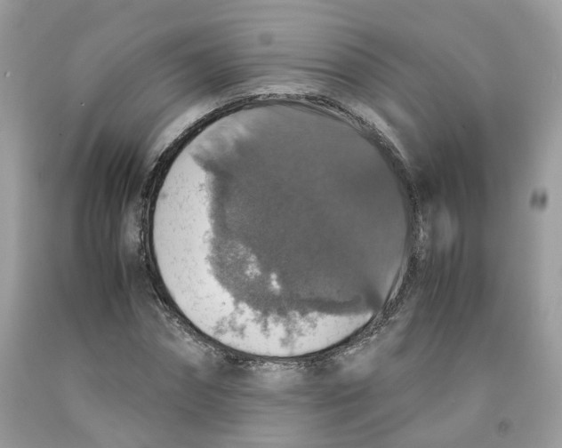 X0000091550874200709141514