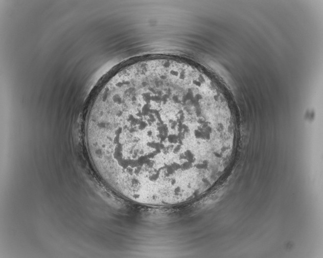 X0000091550875200709141514