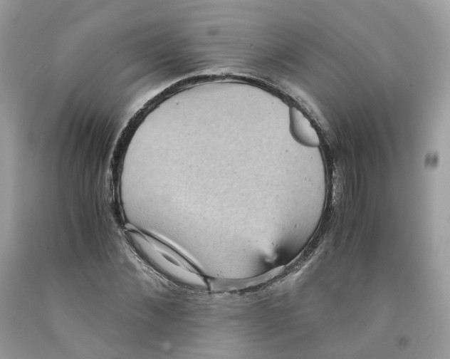 X0000091550876200709141514