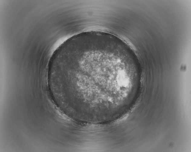 X0000091550877200709141514