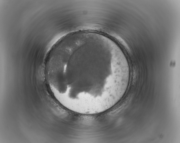 X0000091550878200709141513