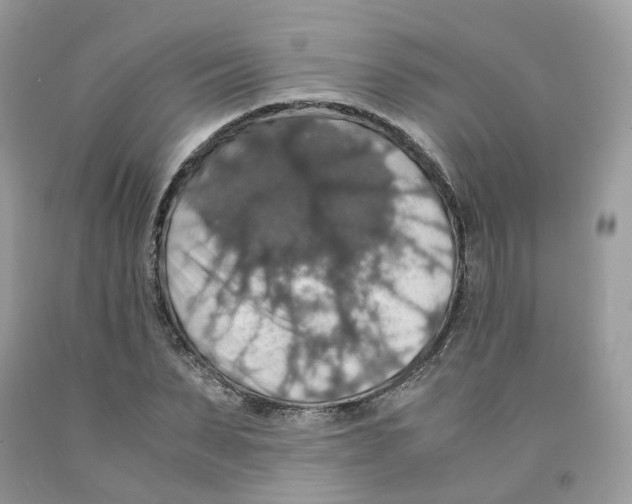 X0000091550879200709141513