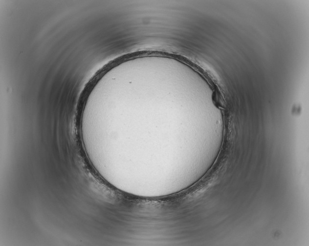 X0000091550880200709141513